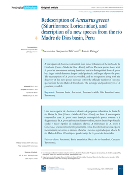 Redescription of Ancistrus Greeni (Siluriformes: Loricariidae), and Description of a New Species from the Río Madre De Dios Basin, Peru