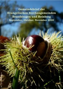 Gemeindebrief Der Evangelischen Kirchengemeinden Brandshagen Und Reinberg