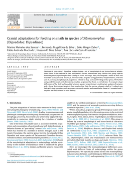 Cranial Adaptations for Feeding on Snails in Species of Sibynomorphus