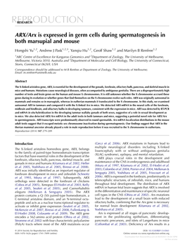 ARX/Arx Is Expressed in Germ Cells During Spermatogenesis in Both Marsupial and Mouse