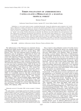 Thrips Pollination of Androdioecious Castilla Elastica (Moraceae) in a Seasonal Tropical Forest1