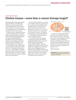 Choline Kinase—More Than a Cancer Therapy Target?