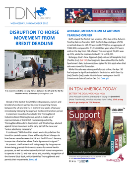 Disruption to Horse Movement from Brexit