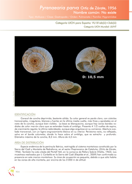 Pyrenaearia Parva Ortiz De Zárate, 1956 Nombre Común: No Existe Tipo: Mollusca / Clase: Gastropoda / Orden: Pulmonata / Familia: Hygromiidae