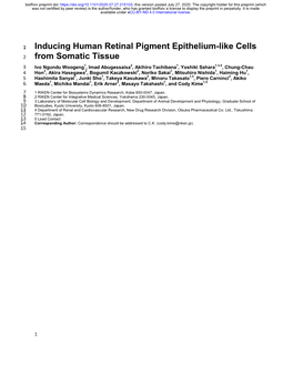 Inducing Human Retinal Pigment Epithelium-Like Cells from Somatic Tissue