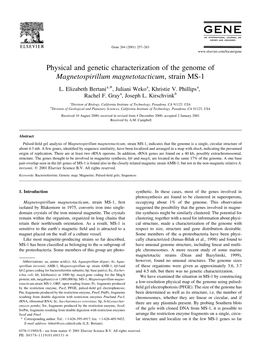 Physical and Genetic Characterization of the Genome of Magnetospirillum Magnetotacticum, Strain MS-1