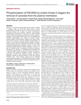 Phosphorylation of PACSIN2 by Protein Kinase C Triggers The