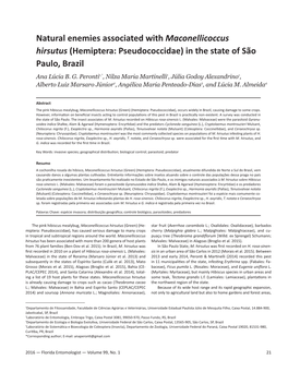 Natural Enemies Associated with Maconellicoccus Hirsutus (Hemiptera: Pseudococcidae) in the State of São Paulo, Brazil Ana Lúcia B