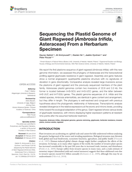 Sequencing the Plastid Genome of Giant Ragweed (Ambrosia Trifida