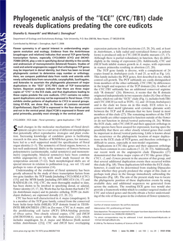 Phylogenetic Analysis of the ''ECE'' (CYC TB1) Clade Reveals Duplications Predating the Core Eudicots