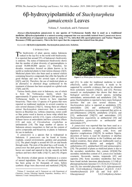 6Β-Hydroxyipolamiide of Stachytarpheta Jamaicensis Leaves