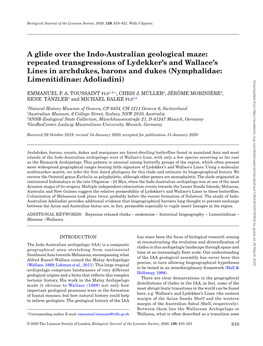 A Glide Over the Indo-Australian Geological Maze: Repeated Transgressions of Lydekker’S and Wallace’S Lines in Archdukes, Barons and Dukes (Nymphalidae