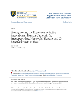 Bioengineering the Expression of Active Recombinant Human Cathepsin G, Enteropeptidase, Neutrophil Elastase, and C- Reactive Protein in Yeast Eliot T