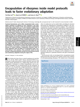 Encapsulation of Ribozymes Inside Model Protocells Leads to Faster Evolutionary Adaptation