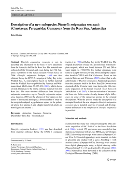 Description of a New Subspecies Diastylis Enigmatica Rossensis (Crustacea: Peracarida: Cumacea) from the Ross Sea, Antarctica