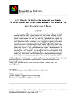 New Species of Sinocapra (Bovidae, Caprinae) from the Lower Pliocene Panaca Formation, Nevada, Usa