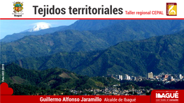 Guillermo Alfonso Jaramillo Alcalde De Ibagué Ibagué - Espacio Territorial