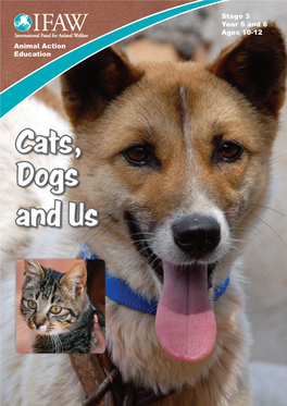 Cats, Dogs and Us