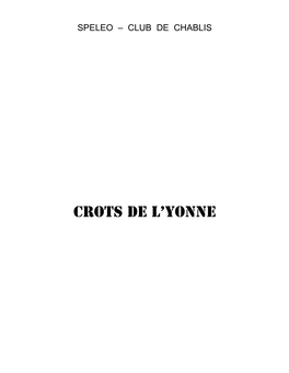 CROTS DE L'yonne - 1983 Synthèse Des Travaux Spéléologiques Effectués Entre 1976 Et 1983 73 Cavités Citées Dont 53 Inédites