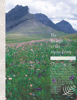 The Ecology of the Alpine Zones