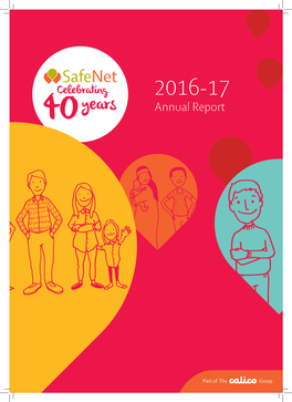 Safenet Annual Report 2017