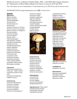 Mushrooms at Mont Obrien 2015-2018