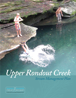 Upper Rondout Creek Stream Management Plan Summary (PDF)