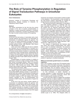 The Role of Tyrosine Phosphorylation in Regulation of Signal Transduction Pathways in Unicellular Eukaryotes