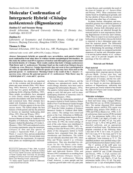 Molecular Confirmation of Intergeneric Hybrid ×Chitalpa Tashkentensis