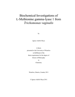 Biochemical Investigations of L-Methionine Gamma-Lyase 1 from Trichomonas Vaginalis