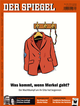 Was Kommt, Wenn Merkel Geht?