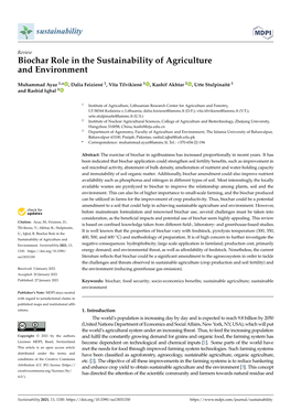 Biochar Role in the Sustainability of Agriculture and Environment