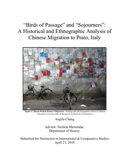 “Birds of Passage” and “Sojourners”: a Historical and Ethnographic Analysis of Chinese Migration to Prato, Italy