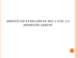 Origini Ed Evoluzione Del Cane: La Domesticazione Zoologia Canidi