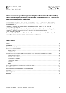 Zootaxa, Phenacoccus Solenopsis Tinsley (Sternorrhyncha: Coccoidea