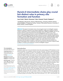 Dynein-2 Intermediate Chains Play Crucial but Distinct Roles in Primary