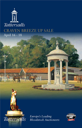 Tattersalls Craven Breeze up Sale, 2012 by Grove Stud to David Redvers Bloodstock for 65,000 Gns