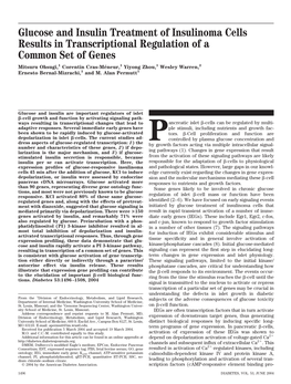 Glucose and Insulin Treatment of Insulinoma Cells Results In