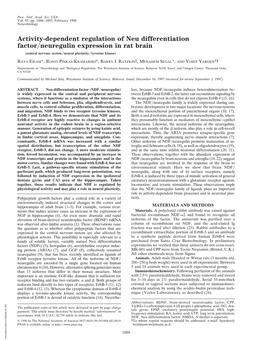 Activity-Dependent Regulation of Neu Differentiation Factor/Neuregulin