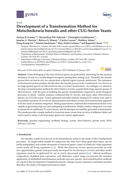 Development of a Transformation Method for Metschnikowia Borealis and Other CUG-Serine Yeasts