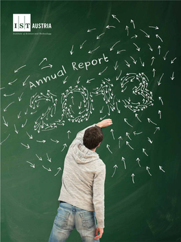 IST Annualreport 2013.Pdf