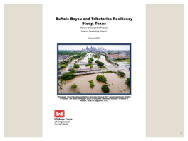 Feasibility Study of the Buffalo Bayou and Tributaries Flood Risk