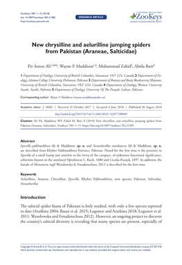 New Chrysilline and Aelurilline Jumping Spiders from Pakistan (Araneae, Salticidae)