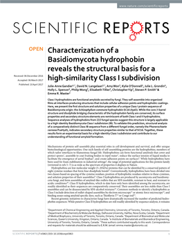 Characterization of a Basidiomycota Hydrophobin Reveals the Structural Basis for a High-Similarity Class I Subdivision