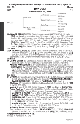 BAY COLT Barn 11 Hip No