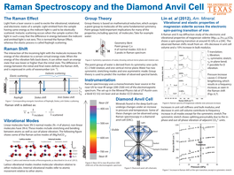 Raman Spectroscopy and the Diamond Anvil Cell