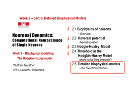 Neuronal Dynamics