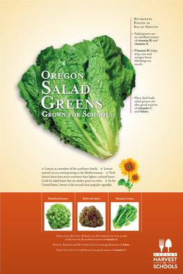 NUTRIENTS FOUND in SALAD GREENS ~ Salad Greens Are an Excellent Source of Vitamin K and Vitamin A