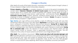 Changes in Muscles