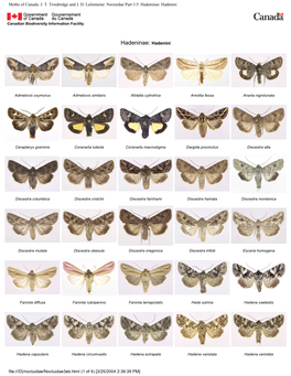 Moths of Canada: J. T. Troubridge and J. D. Lafontaine: Noctuidae Part 3.5: Hadeninae: Hadenini